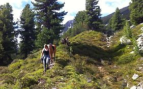 Adventure